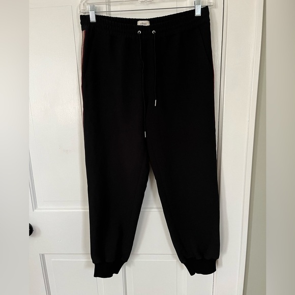 ARITZIA Wilfred Buffon Pant Jogger Black with Stripe Down Sides Womens Medium - Picture 2 of 14